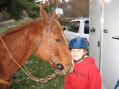 A brown with white Mexican Quarter Horse is standing next to a girl in a blue helmet and a red sweat shirt.