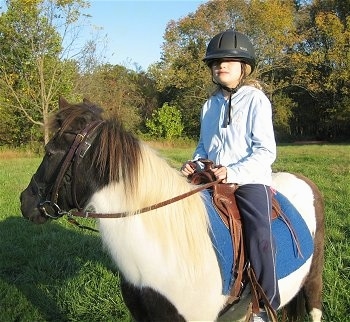 A girl in a light blue jacket and a black riding helmet is sitting on the back of a brown and white paint pony.