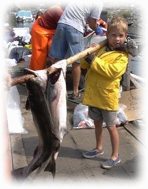 A boy in a yellow jacket is holding a large stick that has two Coho Salmon at the end of it.