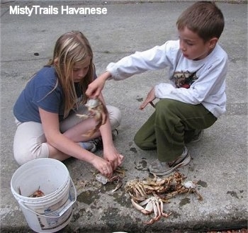 A boy is tossing a crab into a white bucket. There is a blonde haired girl looking down and cleaning a crab.