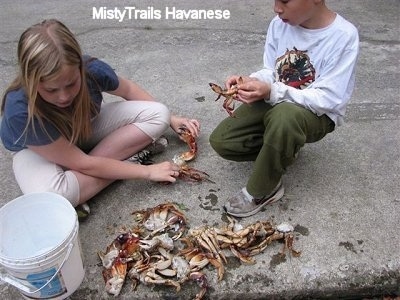 A boy in a white shirt is kneeling next to a blonde haired girl sitting on a concrete surface. They are cleaning crabs.