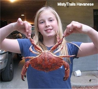 A blonde haired girl is holding up a Red Rock Crab by its pinschers.