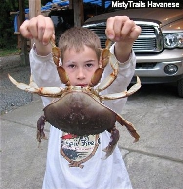 A boy is standing in a driveway and it is holding a crab up by its pinschers.