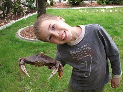 A boy is holding a Dungeness crab, the boys head is laying over the back of a crab, he is smiling.