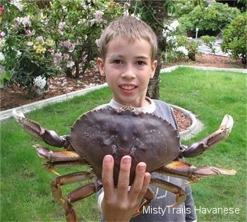 A boy is standing in a yard and he is holding a Dungeness crab in its hand. The boy looks very proud of himself.