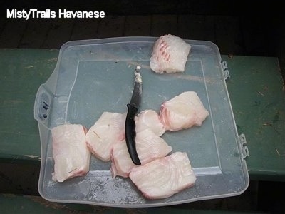 A plastic top is on a wooden surface, and the pieces of a freshly cut Halibut fish is on a plastic top. There is a knife over top of the fish pieces.