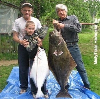 A man has his hands on the arms of a boy holding a Halibut that he caught. Next to them is a man with white hair holding on to a larger Halibut that he caught. The fish are huge, almost the size of the humans.