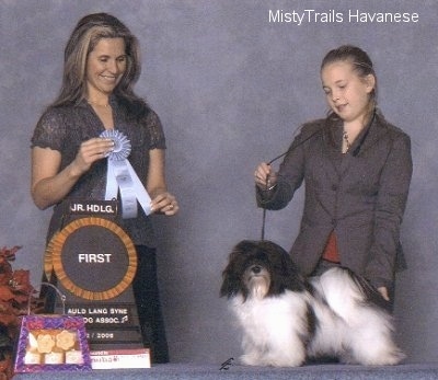 A girl is standing behind a dog on a table and she is posing. The dog is looking forward and to the left of them is a lady holding a ribbon.