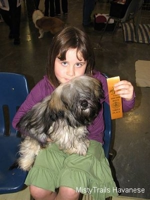 A girl in a purple shirt is sitting on a blue chair and there is a dog with its front paws up against her lap. The girl is holding a ribbon in the air.