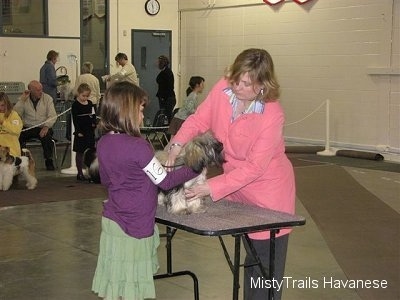 A girl in a purple shirt is touching a dog that is standing on a table. On the otherside of the table there is a lady in a pink jacket that is touching the dog. There are bystanders on chairs in the background.