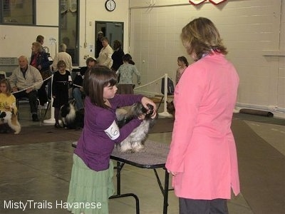 A girl in a purple shirt is touching the mouth of a dog that is standing on a table in front of her. There is a lady in a pink jacket looking down at them.