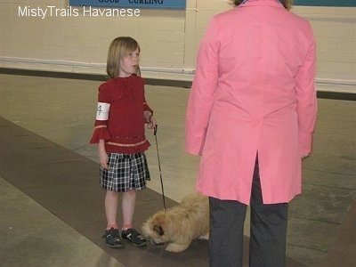 A girl in a red shirt is standing on a long rug and she is holding the leash of a tan dog that is looking at her feet. In front of the girl is a person in a pink jacket. The little girl has a number taped around her upper arm.