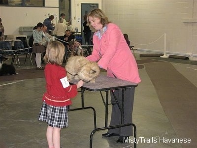 A girl in a red shirt is standing behind a table that has a tan dog on it. There is a lady in a pink jacket inspecting the dog.
