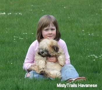 A girl in a pink shirt is sitting in a field and there is a tan with white Havanese puppy sitting on her lap being held belly out.