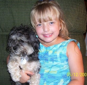 A smiling blonde haired girl is sitting on a green couch and in her arms is a black with white Peke-A-Chon dog.