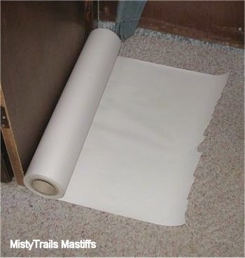 The potty area is lined with long sheets of paper that can be rolled up for easy cleanup