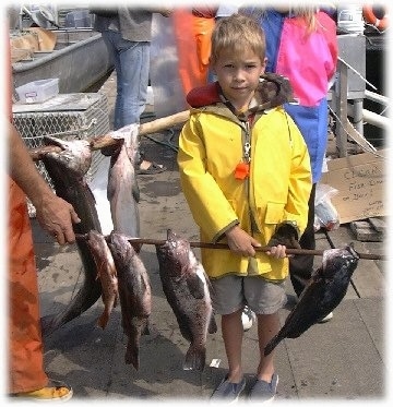 A boy is standing on a dock and he is holding a stick full of freshly caught rock cod fish.