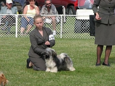 A blonde haired lady is kneeling behind a black and grey dog that is posing in a stack.
