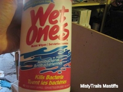A container of Wet Ones antibacterial wipes
