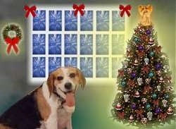 Lucy the Beagle in front of a photoshopped Christmas background
