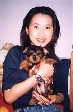 A lady is holding a small black and tan Silky Terrier puppy in her hands. She is exposing the belly of the puppy.