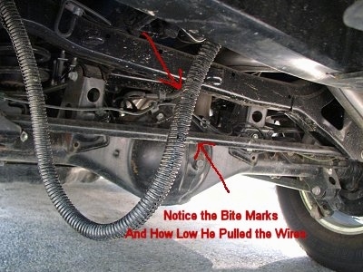Arrows pointing to a wire under a vehicle with the words 'Notice the Bite Marks and How Low he Pulled the Wires' overlayed