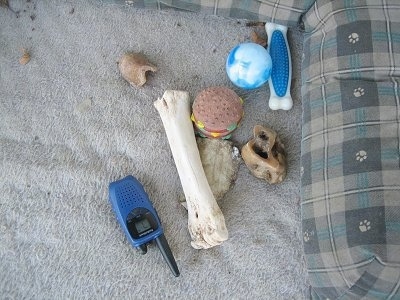 A Walkie Talkie with all of Bruno the Boxer Puppys toys in a dog bed