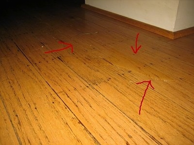 Three arrows pointing to dog pee on the hardwood floor