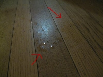 Two Arrows pointing to dog pee on the hardwood floor