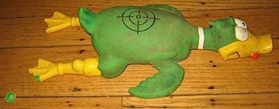 Toy Duck with a target on its back with the tip of its foot chewed off
