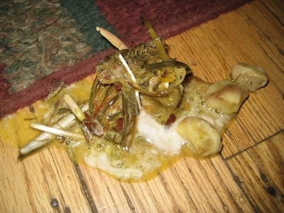 A pile of throw up that looks like grass, straw, bones and bile near a rug