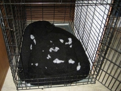 A dog crate with a black liner inside of it with the liners stuffing spread all over it