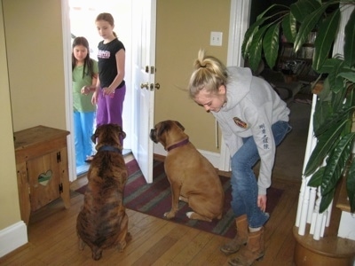 Allie and Bruno the Boxer sitting in front of a door while Amie gets her boots on and Sara and Lindsey stand at the doorway