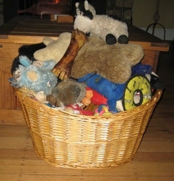 Over flowing basket of dog toys