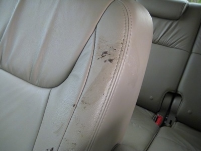 Bruno the Boxer left mouth residue all over a van seat