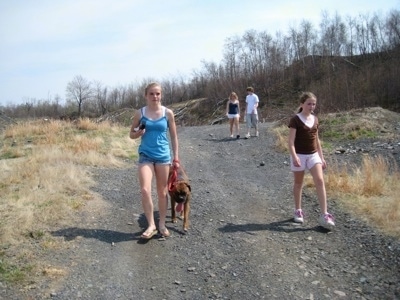 Amie leads Bruno the Boxer down a charred path with Sara