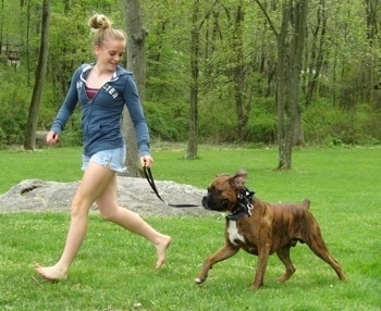 Amie running and looking back at Bruno as he holds his leash in his mouth