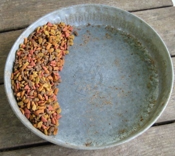 Close Up - a third of cat food in the cat food dish