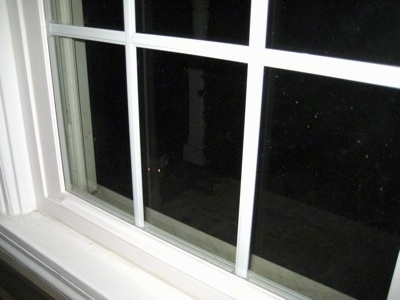 Fox with glowing eyes looking through the window