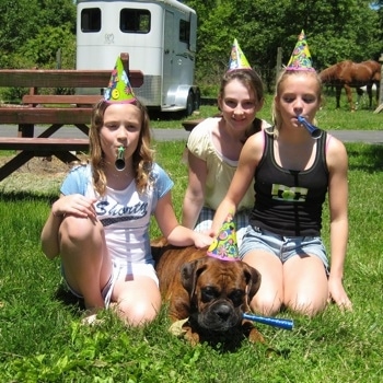 Bruno wearing a birthday hat and a blue blower in his mouth laying on the ground surrounded by three kids in party hats with blowers