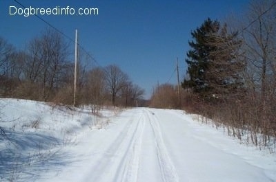 A snowy road in Centralia Pa
