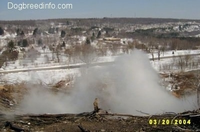 Steam coming from the ground with a road in the background