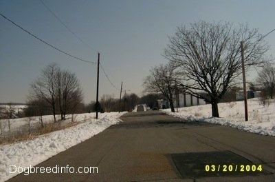 An empty road with no snow on it