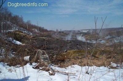A steaming hill in Centralia PA