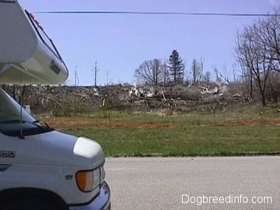 A Camper on a road in front of a field of dead trees