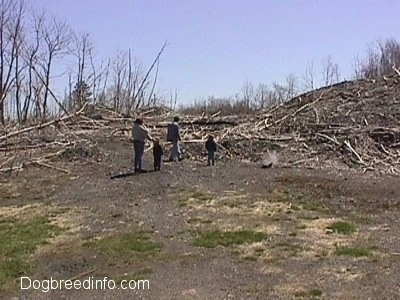 Four People in a field and they are looking at Dead trees