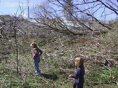 Two kids are inside of fallen dead trees with steam coming from the ground in the background