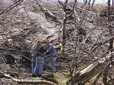 Three People standing at the bottom of a hill that has a bunch of dead trees and steam coming from the ground