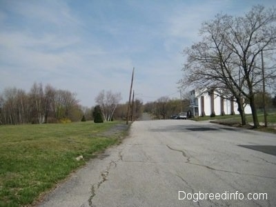 The road leading to a Singular house on the Right side in Centralia, Pa