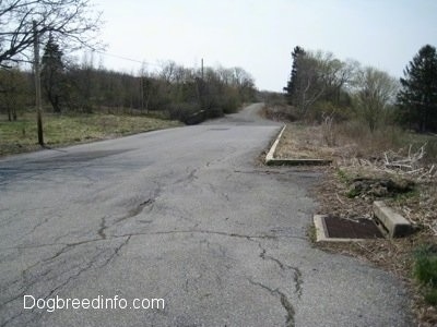 An Empty road in Centralia, Pa